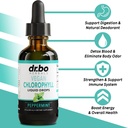 colon-cleanser-detox-chlorophyl-liquid-d-3.jpg