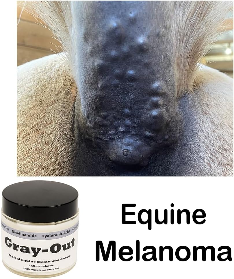 lifespan-gray-out-equine-care-bundle-her-2.jpg