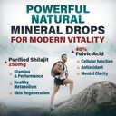 premium-shilajit-dry-drops---150-count-2-4.jpg