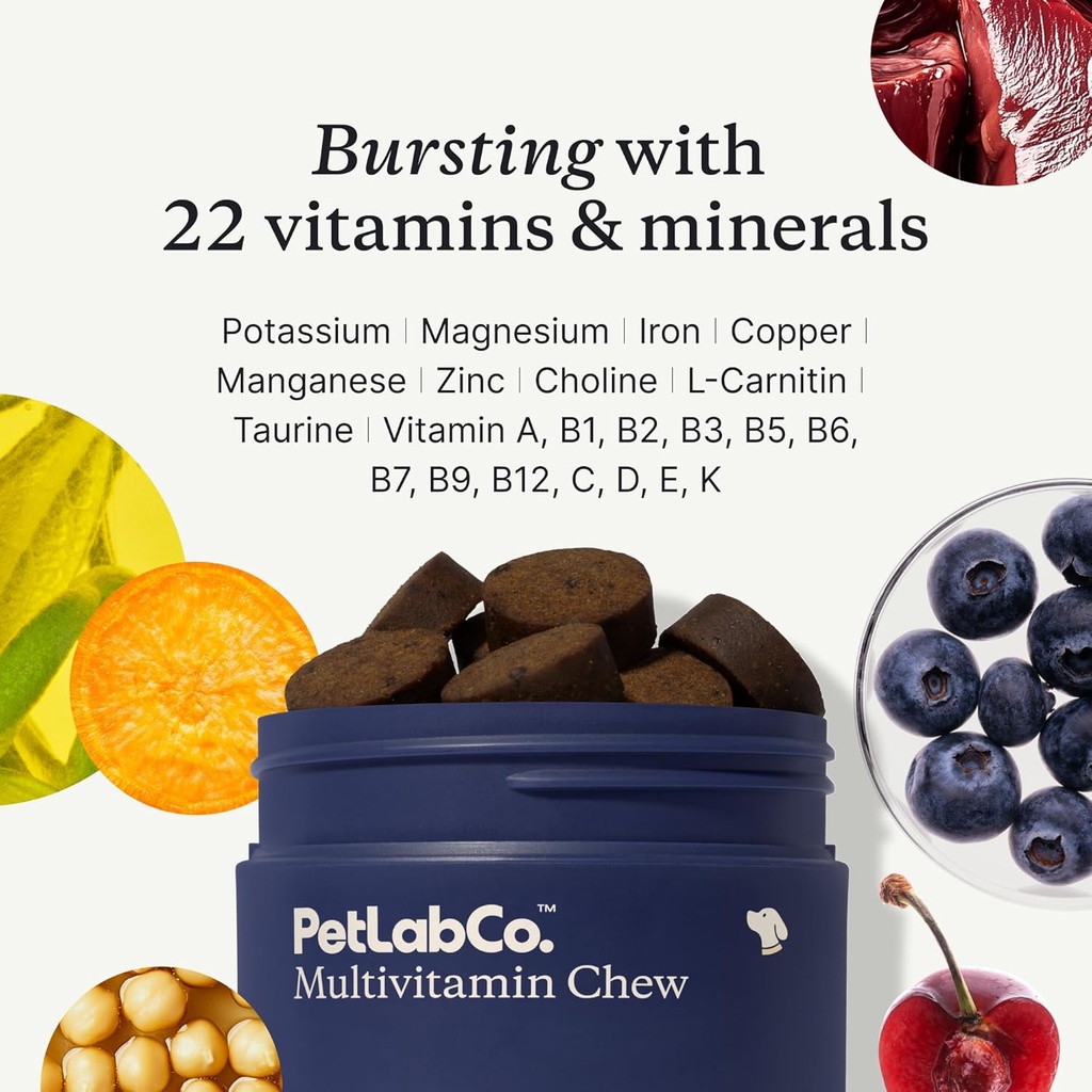 petlab-co-22-in-1-dog-multivitamin---sup-4.jpg