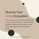liiv-mood-boosting-probiotic-premium-wom-6.jpg