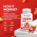 shiny-leaf-coq10-100mg---chewable-coq10--3.jpg