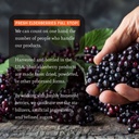 dr-appleseeds-organic-elderberry-extract-5.jpg