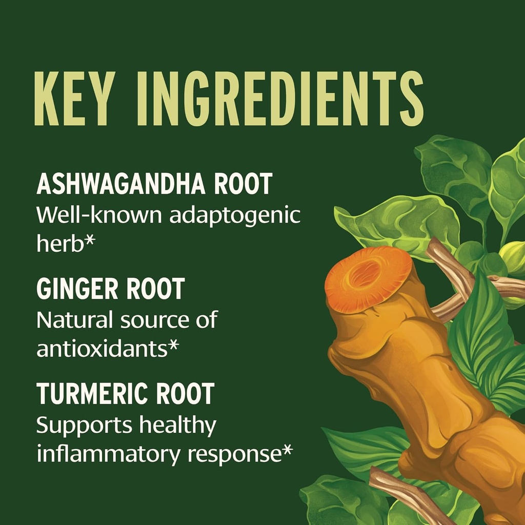 banyan-botanicals-i-travel-well-liquid-e-3.jpg
