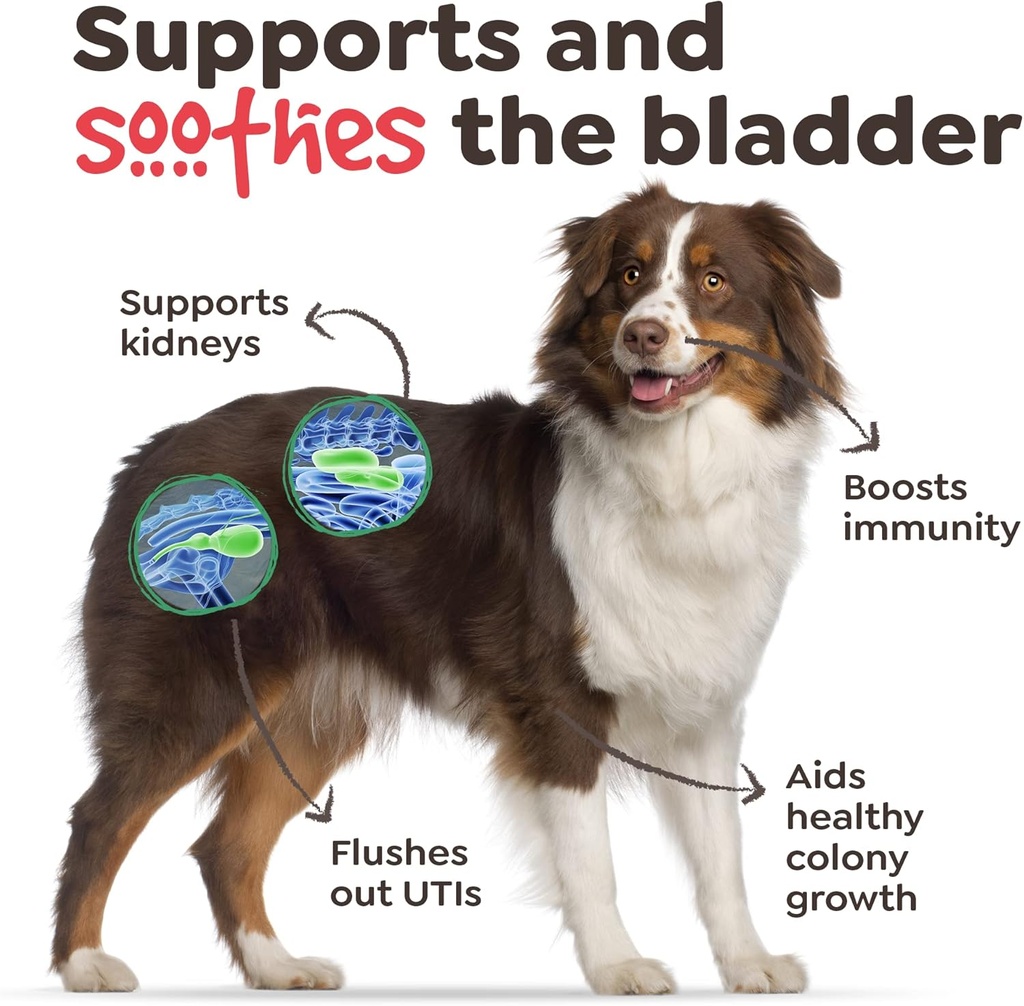 dog-uti-treatment---cranberry-supplement-3.jpg