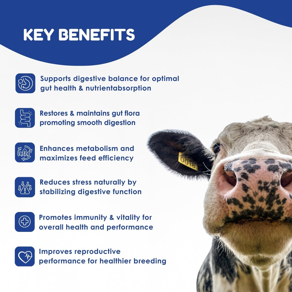 ruminants-pre-and-probiotic-paste-80g--p-2.jpg