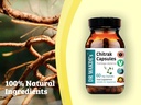 dr-wakdes-chitrak-capsules-plumbago-zeyl-4.jpg