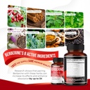 berberine-supplement---enhanced-with-cey-4.jpg