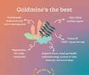 goldmine-supershroom-functional-power-re-2.jpg