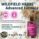 burdock-root-tincture-extract-drops-2000-6.jpg