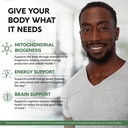 pqq-40-mg---pqq-with-coq10-supplement----2.jpg