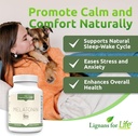 lignans-for-life-care-set-bundle---natur-6.jpg