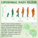 120-count-nad-plus-supplement-liposomal--4.jpg