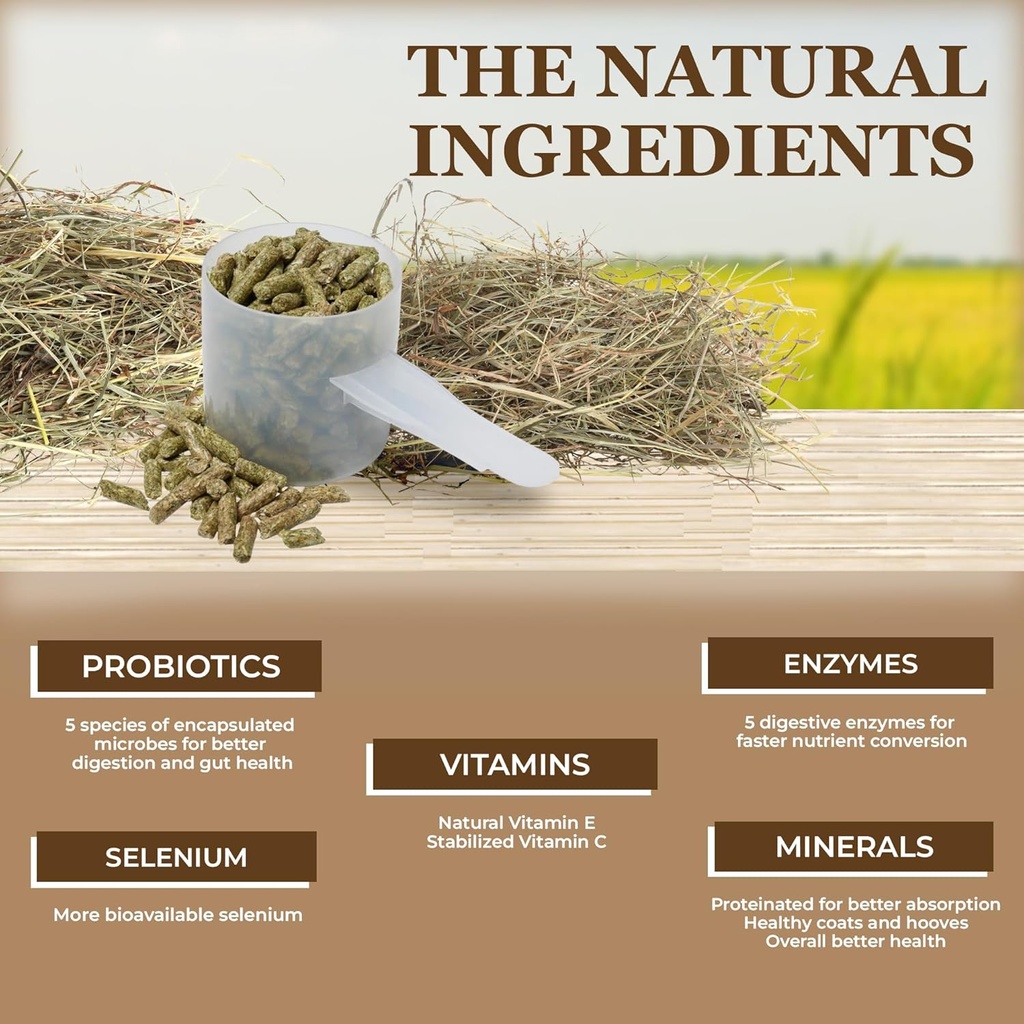 equerrys-economy-equine-supplement---hor-4.jpg