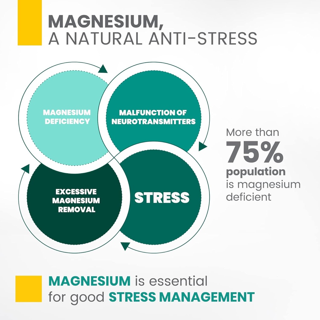 synergia-calm-box---magnesium-and-vitami-5.jpg