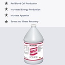 mvp-b-tonic-b-vitamins-iron-supplement-f-2.jpg