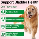 dog-uti-treatment---urinary-tract-infect-6.jpg
