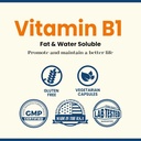 benfotiamine-500mg-120-capsules---gluten-5.jpg