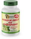 sunshine-naturals-guisazo-chancapiedra-h-2.jpg
