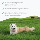 dr-mercola-bark-whiskers-glandular-suppo-5.jpg
