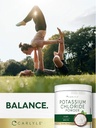 carlyle-potassium-chloride-powder-supple-6.jpg