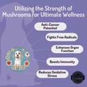 anp-enhance-your-dogs-health-with-mushro-4.jpg
