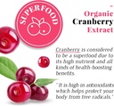 vaginal-probiotics-for-women40-billion-c-2.jpg