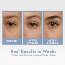 pure-body-naturals-castor-oil-for-eyelas-2.jpg
