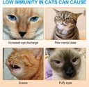 l-lysine-powder-for-cats-120g-lysine-pow-3.jpg