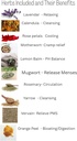 feminine-care-1-month-supply-100-organic-6.jpg