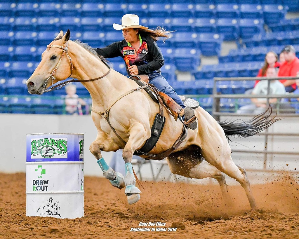 gastric-support-supplement-for-horses-re-5.jpg
