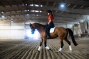 gastric-support-supplement-for-horses-re-6.jpg