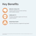brainmd-nac---60-vegan-capsules---antiox-4.jpg