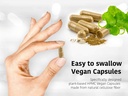 dr-wakdes-guggul-capsules-mukul-myrrh-co-6.jpg
