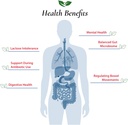 foods-for-gut-lactobacillus-acidophilus--3.jpg
