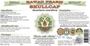 skullcap-alcohol-free-liquid-extract-org-2.jpg