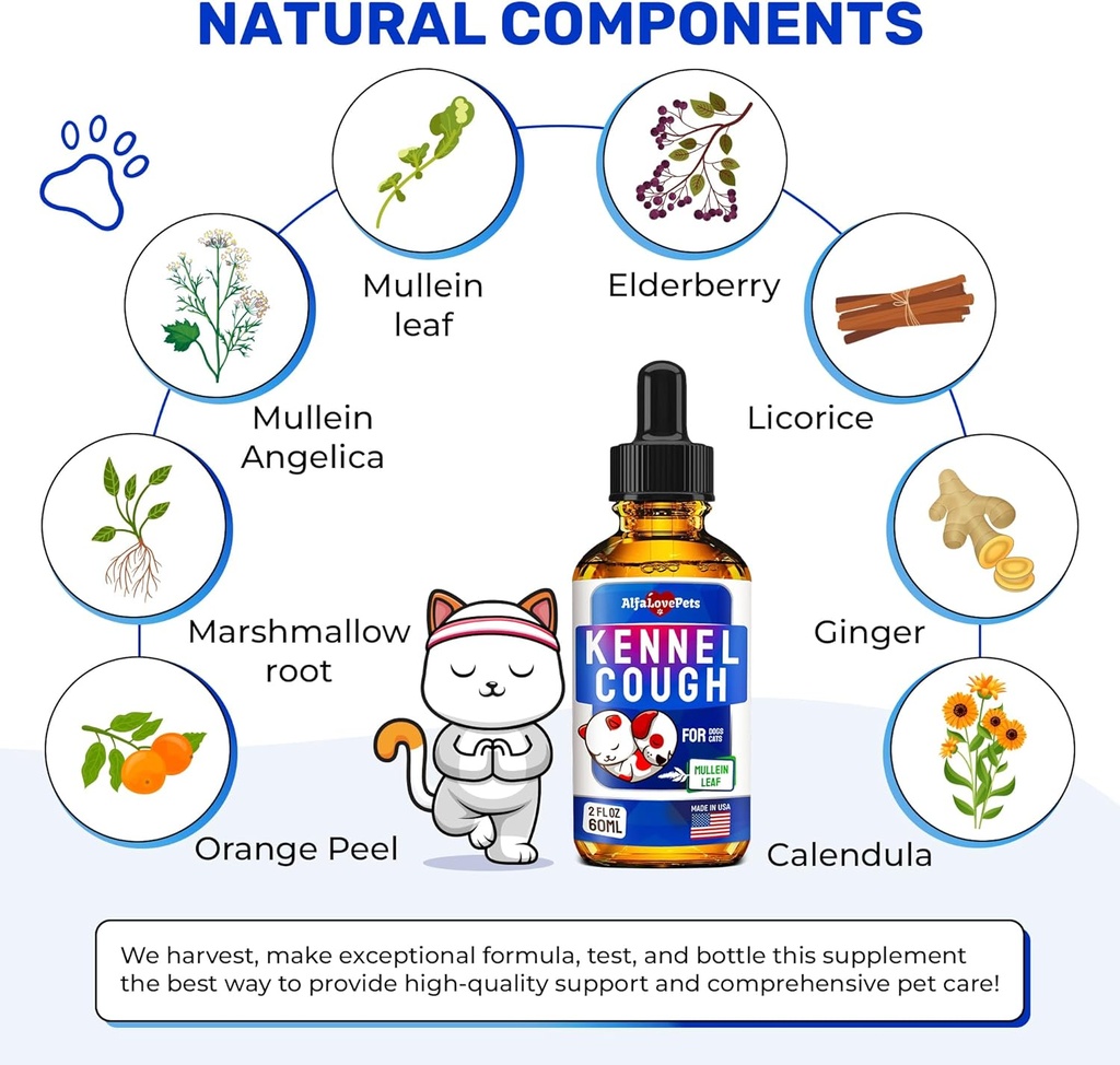 kennel-cough-treatment-for-dogs-cats-dog-3.jpg