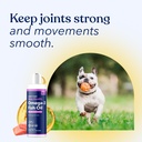 honest-paws-wild-alaskan-salmon-oil-for--5.jpg
