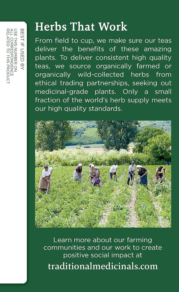 traditional-medicinals-organic-nettle-le-4.jpg