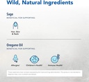 north-american-herb-spice-sinuorega---2--2.jpg