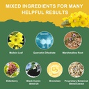mullein-drops-for-lungs-mullein-leaf-ext-3.jpg