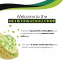 nanonutrition-glutathione-vitamins-miner-2.jpg