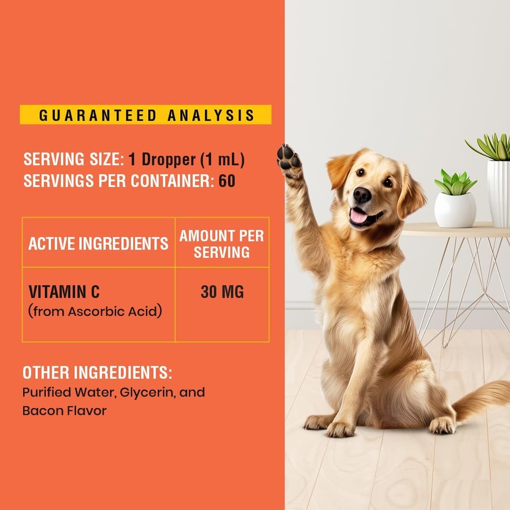 vitamin-c-for-dogs-helps-support-immune--4.jpg