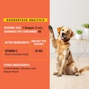 vitamin-c-for-dogs-helps-support-immune--4.jpg