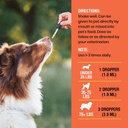 vitamin-c-for-dogs-helps-support-immune--5.jpg