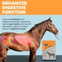 equerrys-cu-shine-total-horse-health-pel-2.jpg