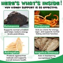 liver-support-for-dogs-liver-and-kidney--2.jpg
