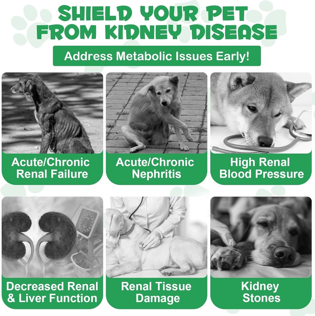 liver-support-for-dogs-liver-and-kidney--3.jpg