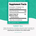 turkey-tail-powder---organic-mushroom-su-2.jpg