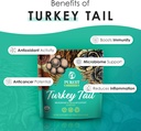 turkey-tail-powder---organic-mushroom-su-3.jpg